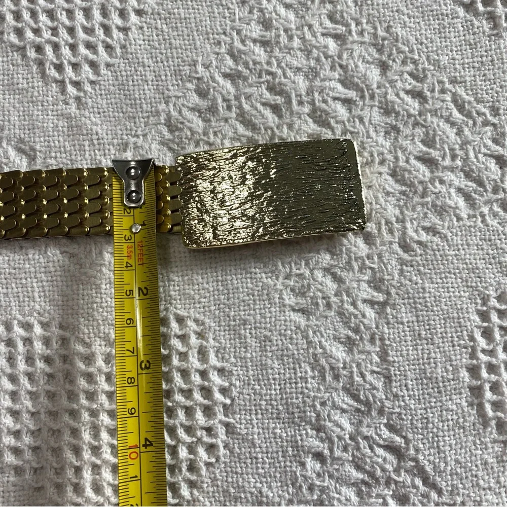 Vintage Scaley Belt